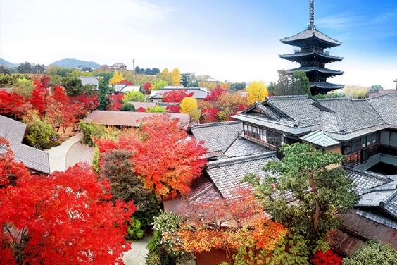 古都の風情に包まれる 特別な眺めが待つ東山